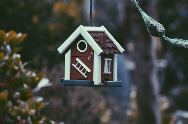 Les avantages d'acheter un bien immobilier neuf dans le Morbihan